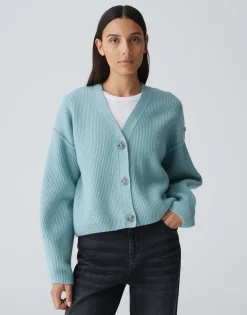 Vest Dautuma Blauw Online Bestellen*OPUS Online